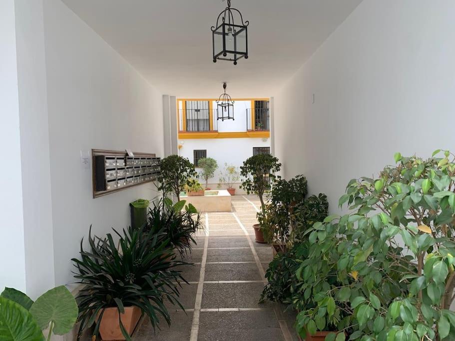 Pilsev Center Apartment Sevilla Exterior foto
